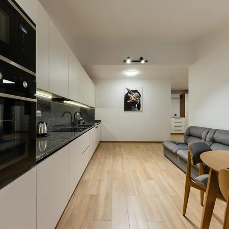 Luxury Apartments Uzhorod Exterior photo